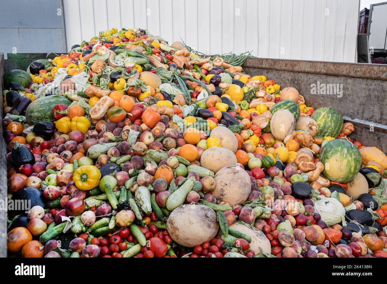 Expired food Organic bio waste. Mix Vegetables and fruits in a huge container, in a rubbish bin