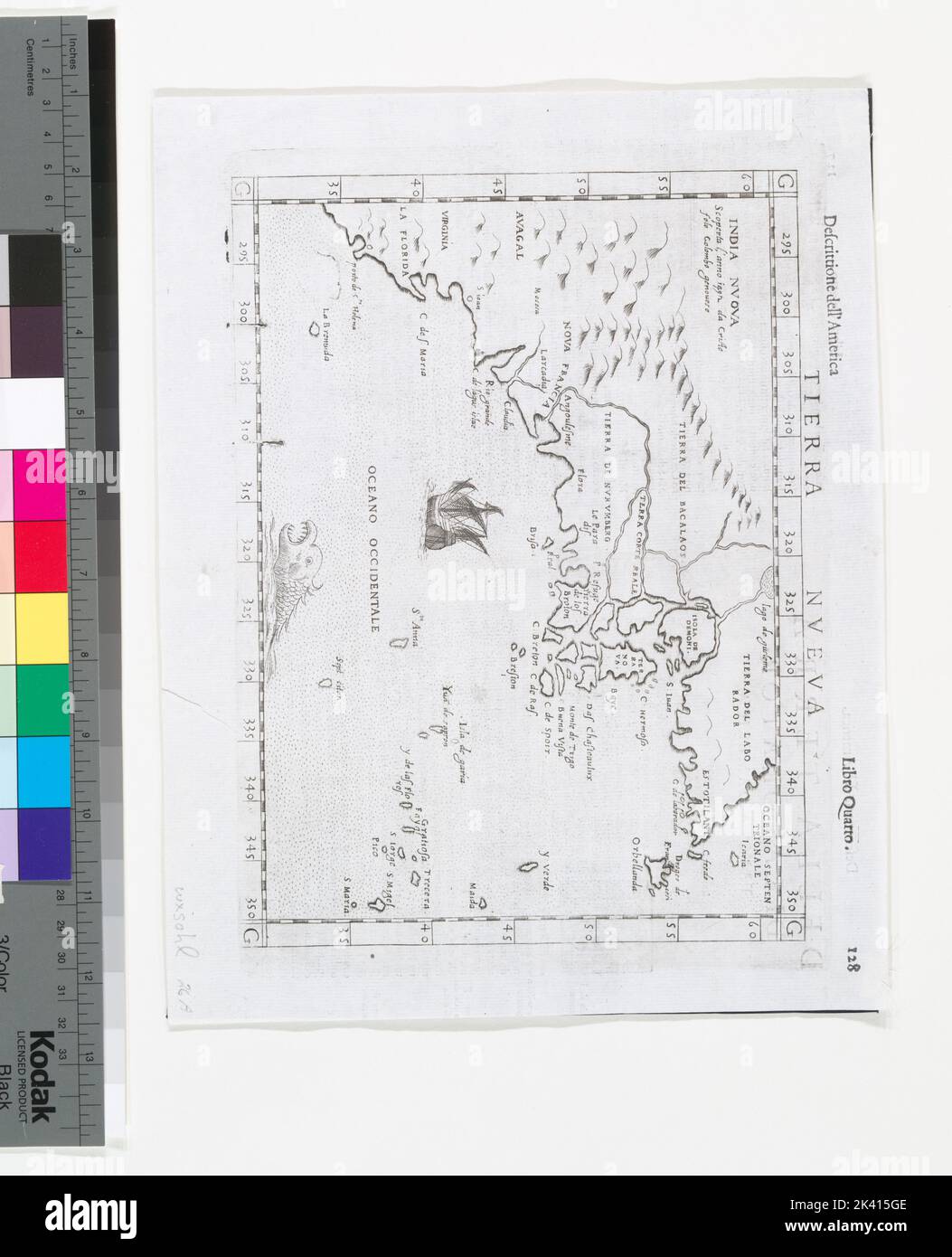 Tierra nveva. Cartographic. Maps. 1598. Lionel Pincus and Princess ...