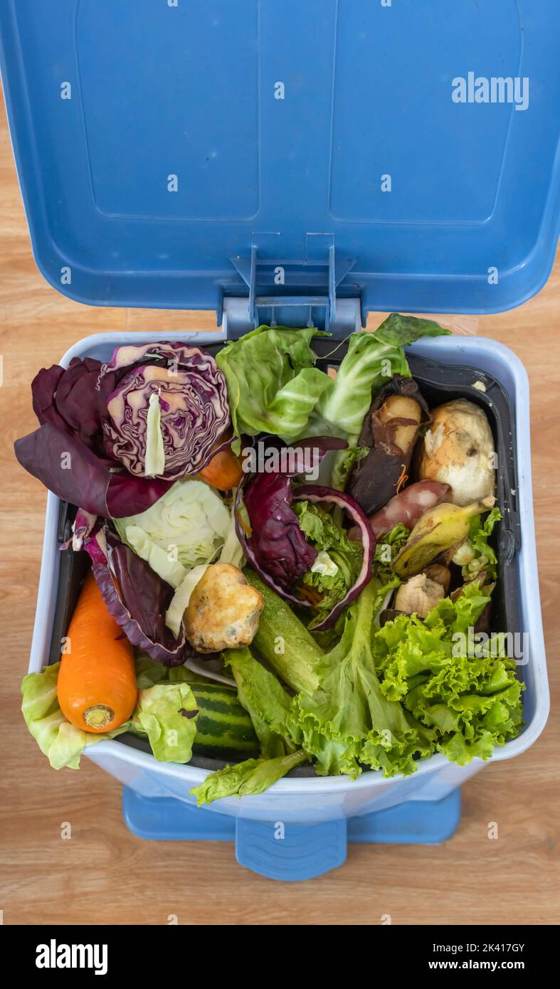 Waste bin with unused food. Food waste as a global problem in the world. Interior. Closeup