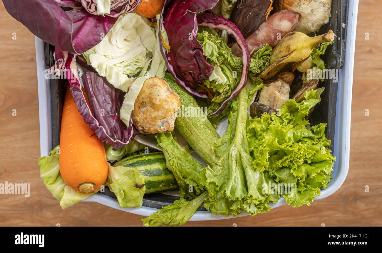 Waste bin with unused food. Food waste as a global problem in the world. Interior. Closeup