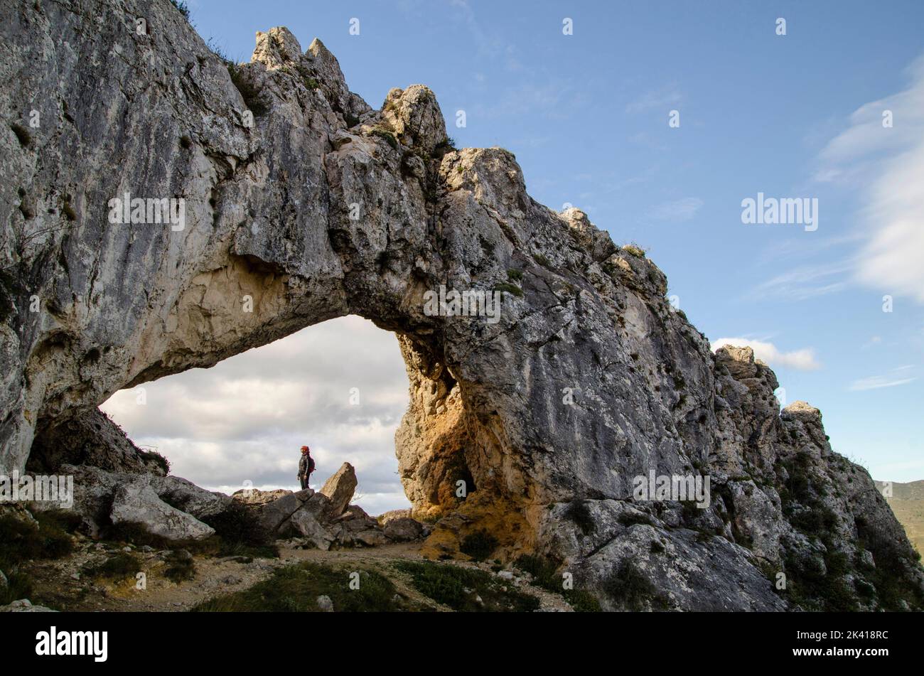 quanto costa il big arch