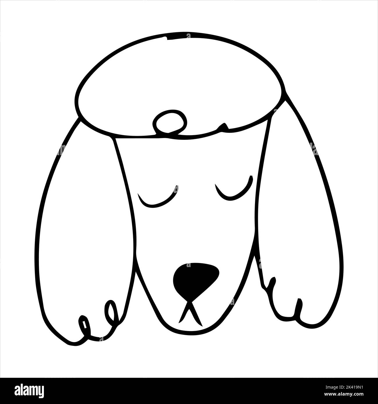Vector portrait of a poodle dog in doodle cartoon style. Pet ...