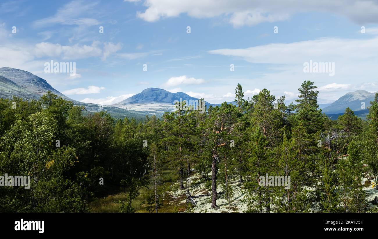 Sollia, Sweden: Mountain top in the Rondane National Park Stock Photo