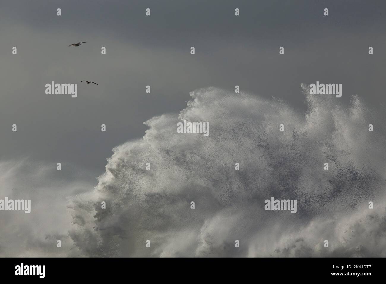 Huge sea wave splash during cyclone Stock Photo Alamy