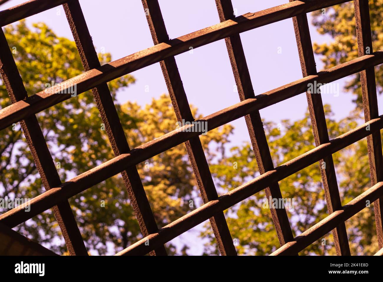 Fence of picket, seamless, horizontal on autumn foliage and sky