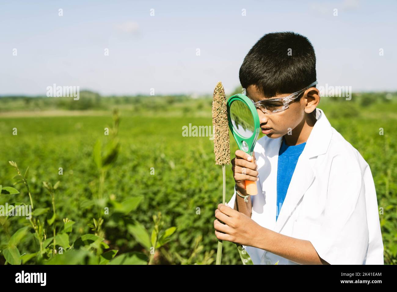 smart indian kid observing or checking virus on plant using magnifier lens at agricultural filed - concept of biotechnogy, professional activity. Stock Photo
