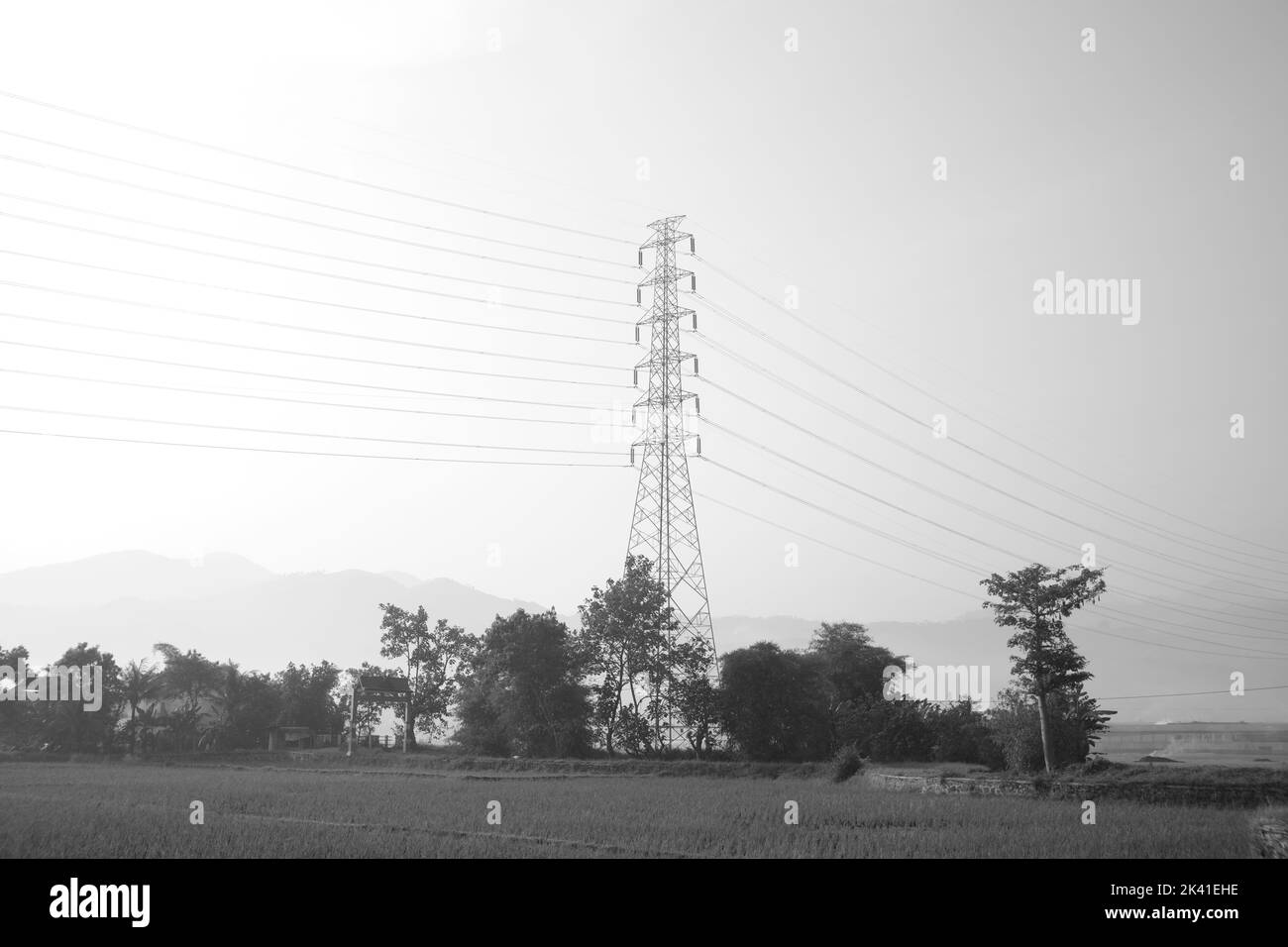 Monochrome photo of the electricity distribution tower that stretches along the rice fields in the Cikancung area, Indonesia Stock Photo