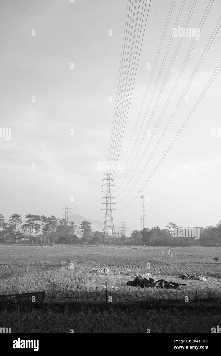 Monochrome photo of the electricity distribution tower that stretches along the rice fields in the Cikancung area, Indonesia Stock Photo