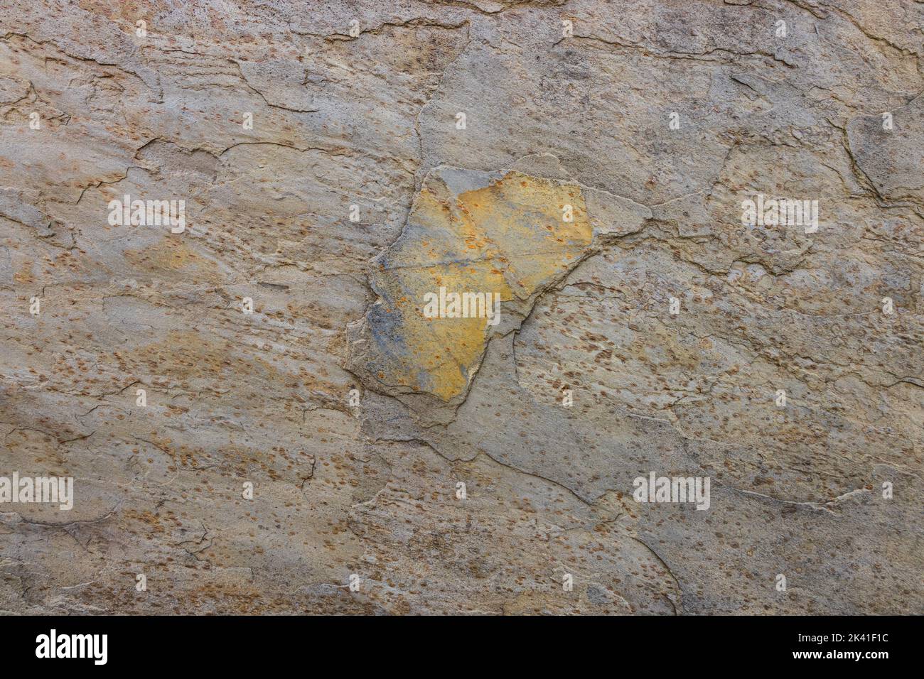 Rough stone slate texture and surface background Stock Photo