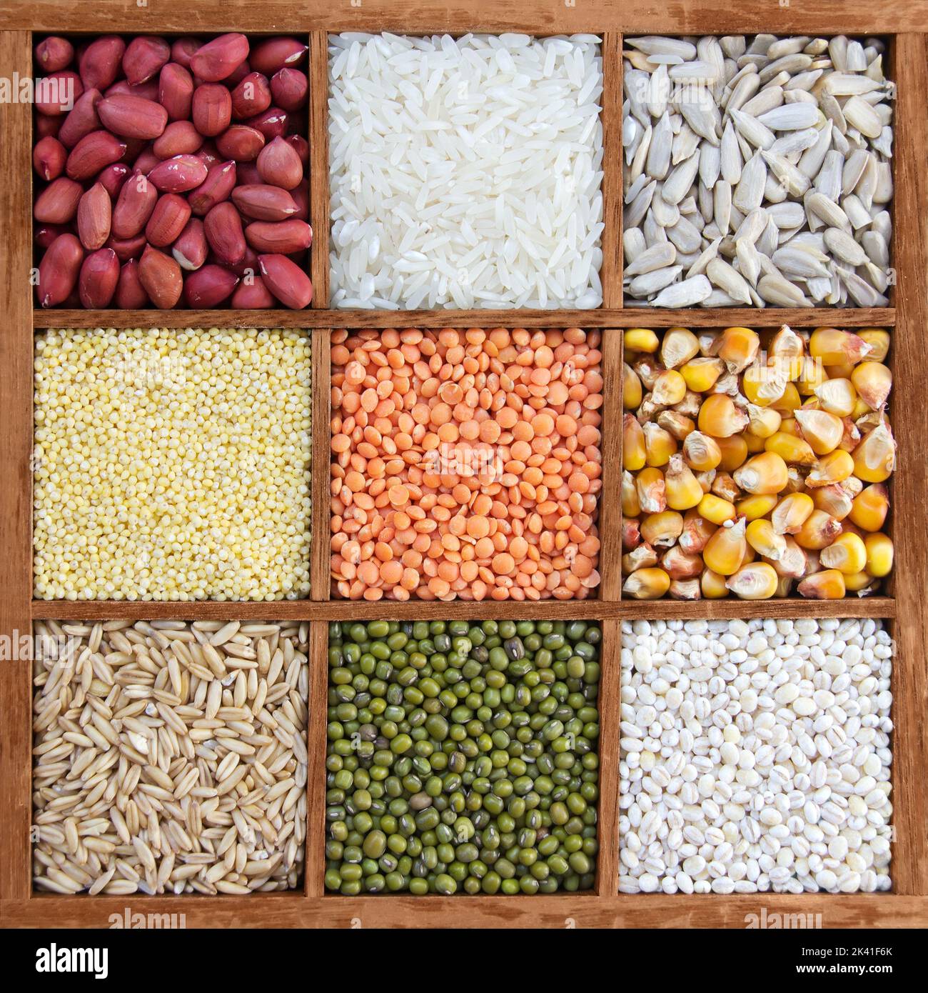 Classification of oats hi-res stock photography and images - Alamy