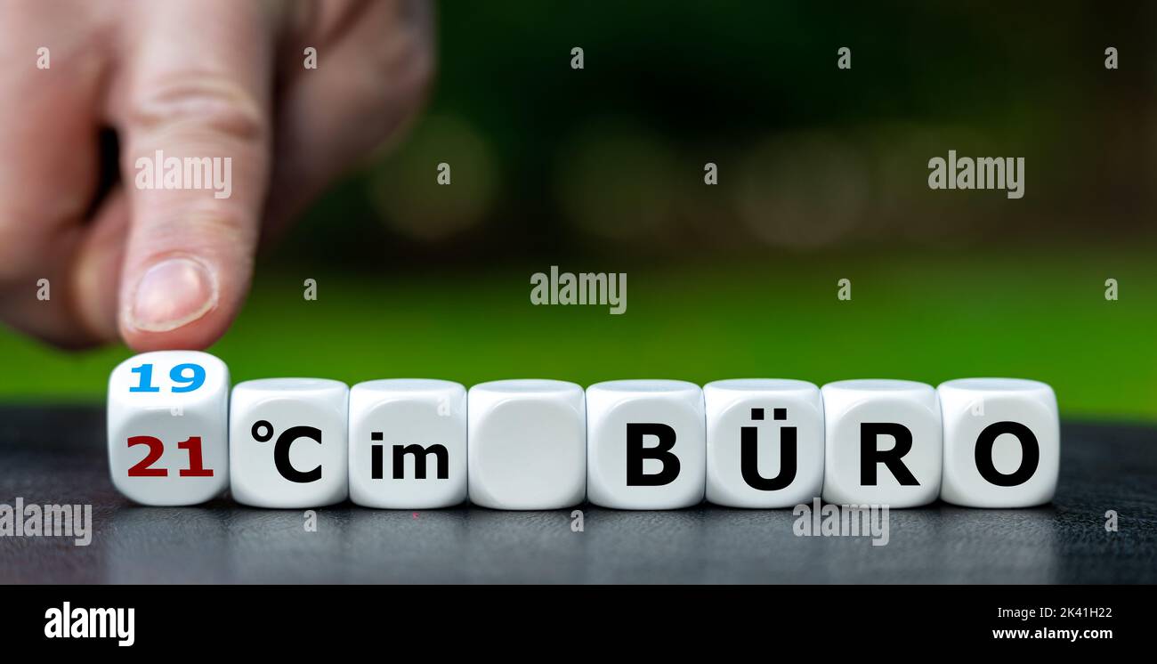 suche job im büro
