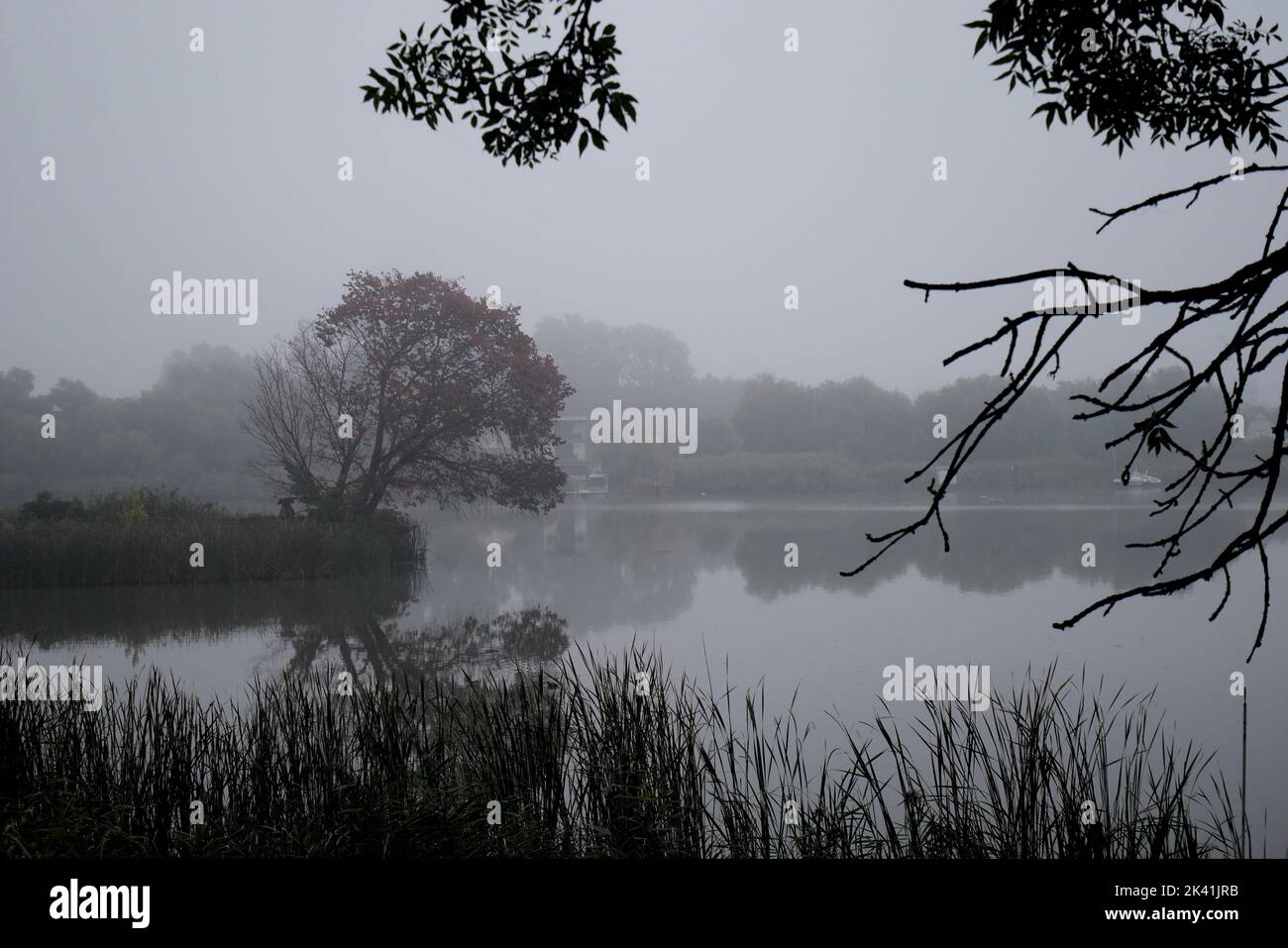 Early morning fog on a cold autumn day on the River Danube, Szigethalom, Hungary Stock Photo