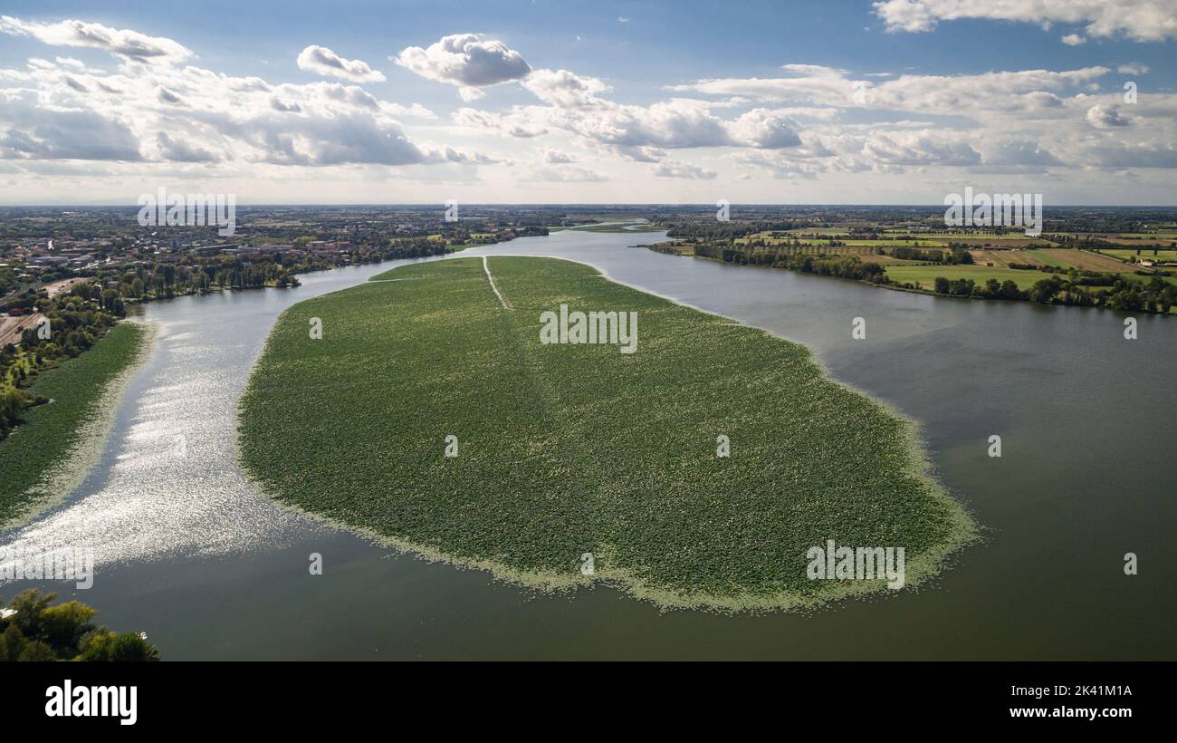 vista aerea isola fior di loto lago superiore mantova Stock Photo