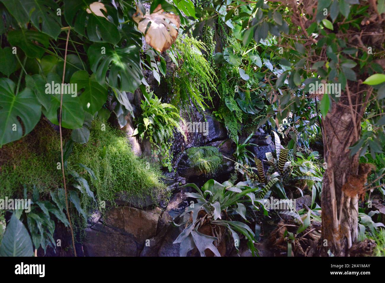 Waterfall model background hi-res stock photography and images - Alamy