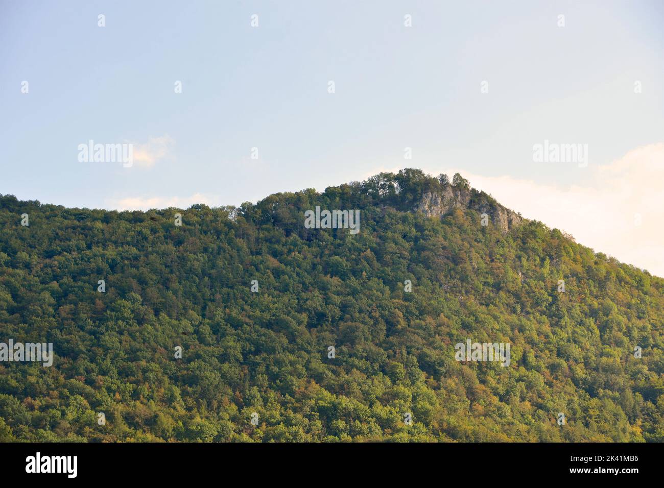 Landscape tree on moutain in morning Stock Photo