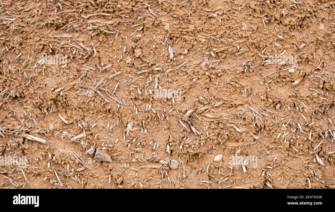 Close-up background of the wall of an old house made of clay mixed with straw. Old type of construction. Clay wall of straw and mud. Stock Photo