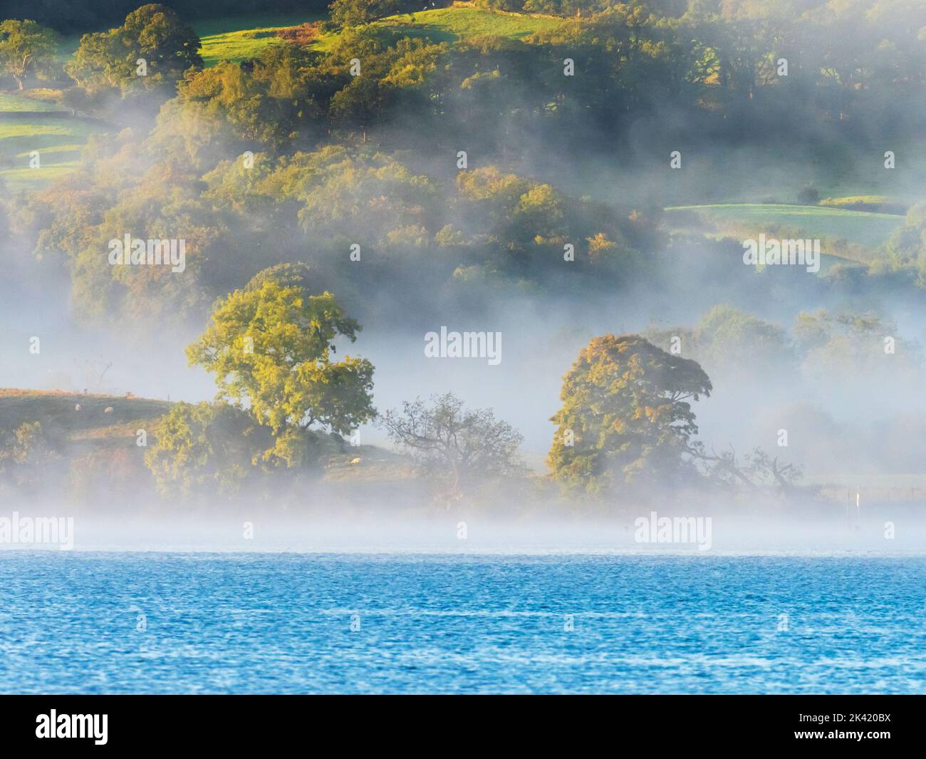Autumn mist over Lake Windermere, Lake District, UK at dawn. Stock Photo