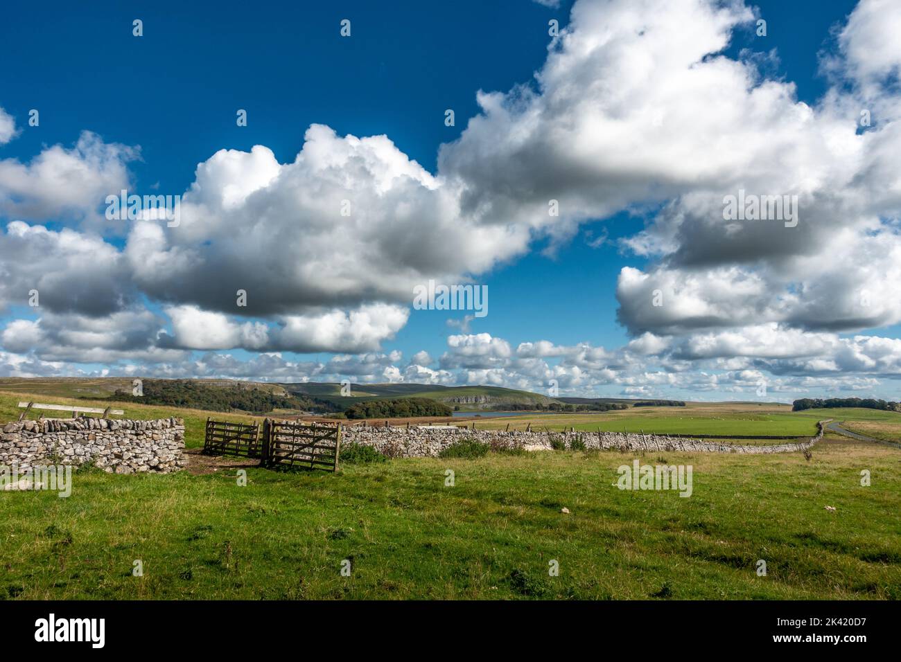 Stunning view of Malham Moor looking at Malham Tarn through an open gate with blue skies and sunshine, Yorkshire Dales National Park, England, UK Stock Photo