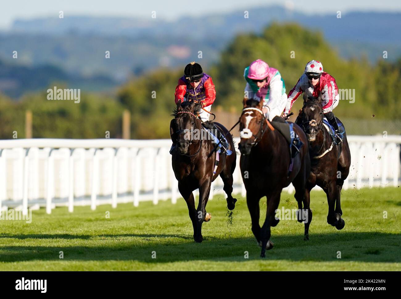 Salisbury Racource Salisbury ampics ampics hi-res stock photography and images - Alamy