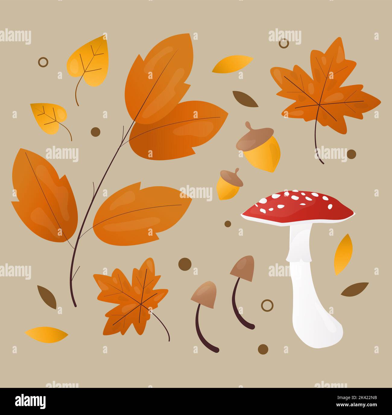mushrooms acorns and seeding leaves. forest collection Stock Photo