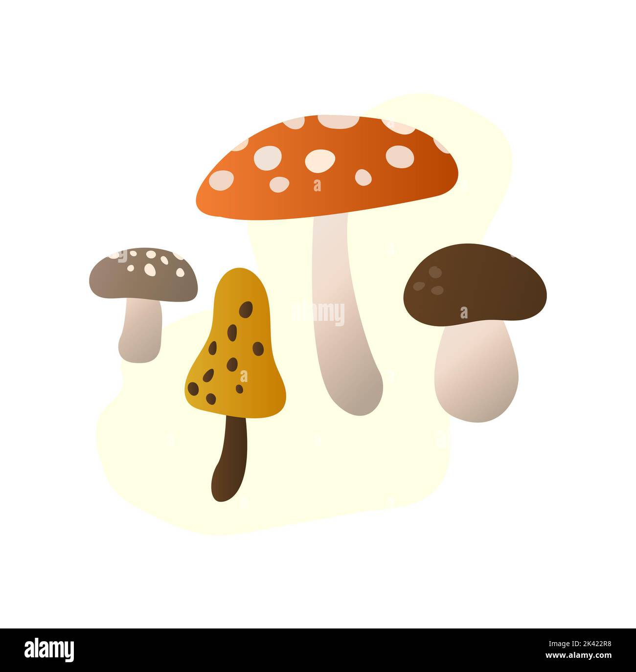 Vector image. Set of various forest mushrooms. The isolated image. a set of various autumn mushrooms. multicolored hats and size.autumn atmosphere Stock Photo