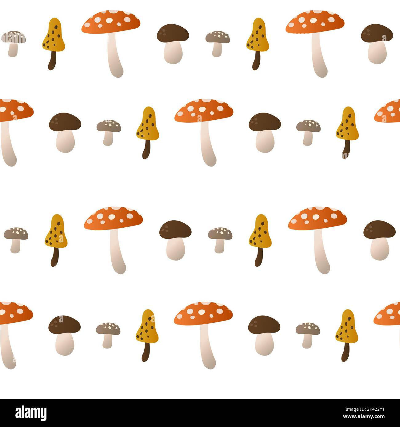 Vector image. Set of various forest mushrooms. The isolated image. a set of various autumn mushrooms. multicolored hats and size.autumn atmosphere Stock Photo
