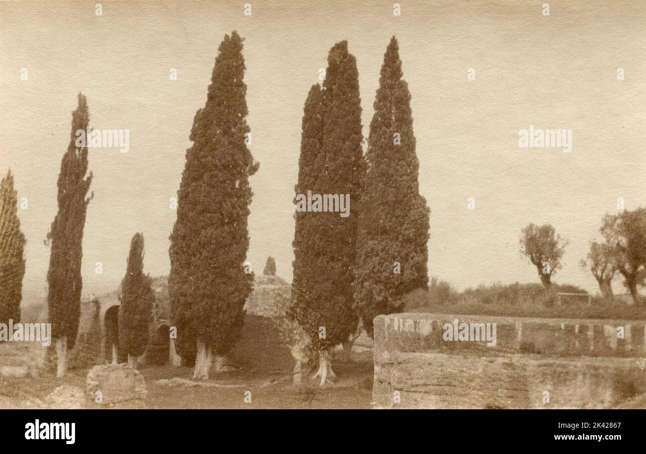 Carte Postale Ancienne Tivoli Italie ~1920/30 - Villa D'Este, Vue Du Jardin (photo Originale)
