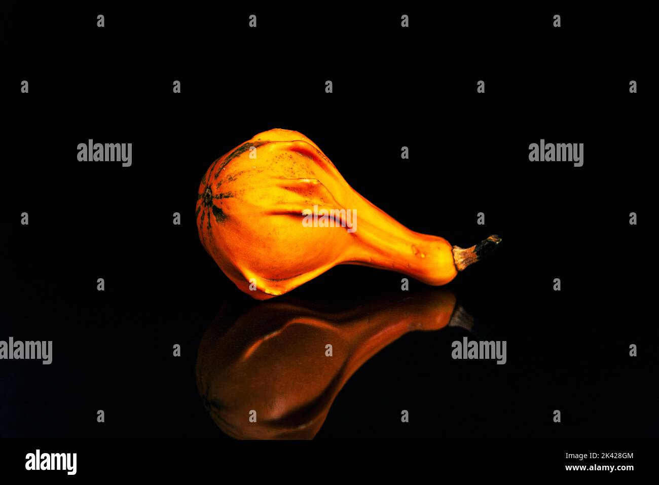 Small decorative pumpkin on black background with reflection. Stock Photo