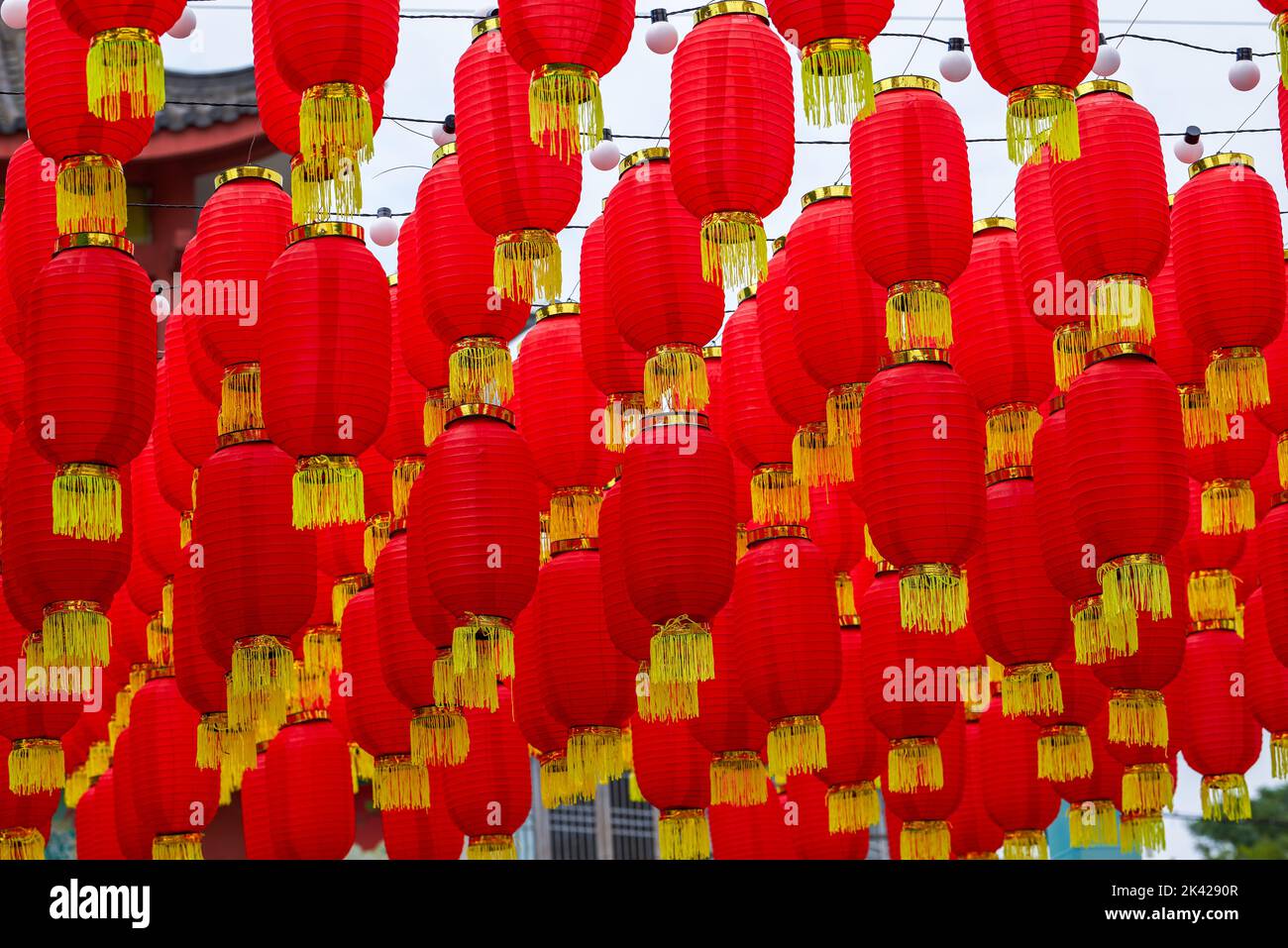 Paper lantern hanging on trees hi-res stock photography and images - Alamy