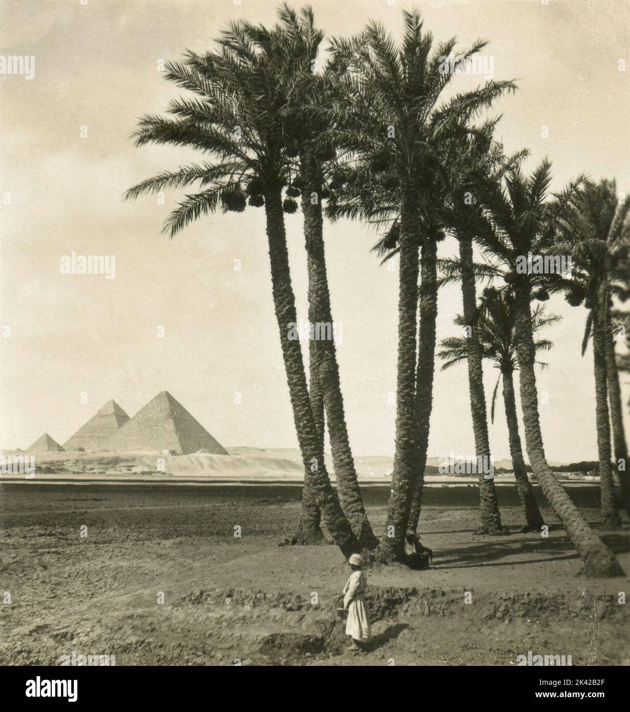 View of the Pyramids, Cairo, Egypt 1904 Stock Photo