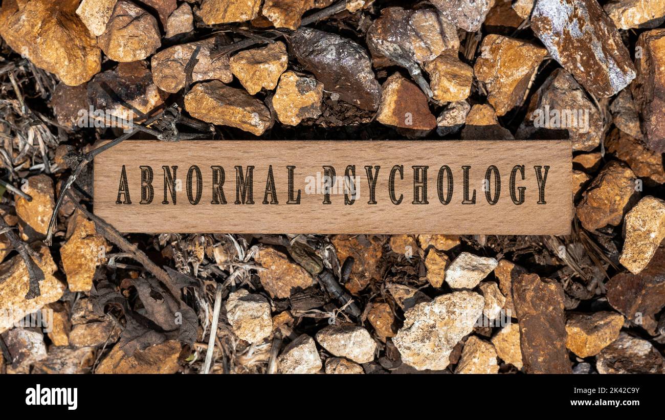 Abnormal psychology. Written on wooden surface. Wooden frame on pieces of stone. Diseases and cures Stock Photo