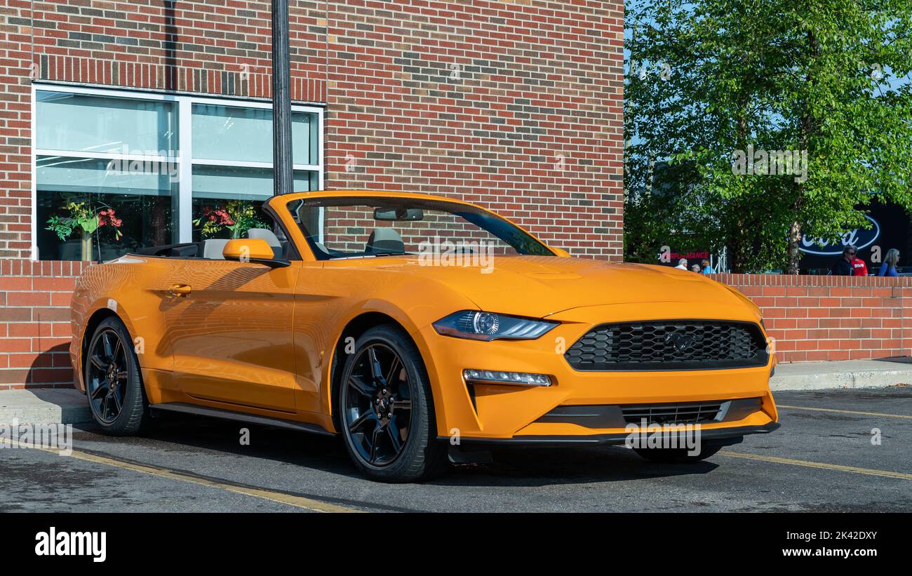 FERNDALE, MI/USA AUGUST 17, 2019 A 2018 Ford Mustang car at "Mustang