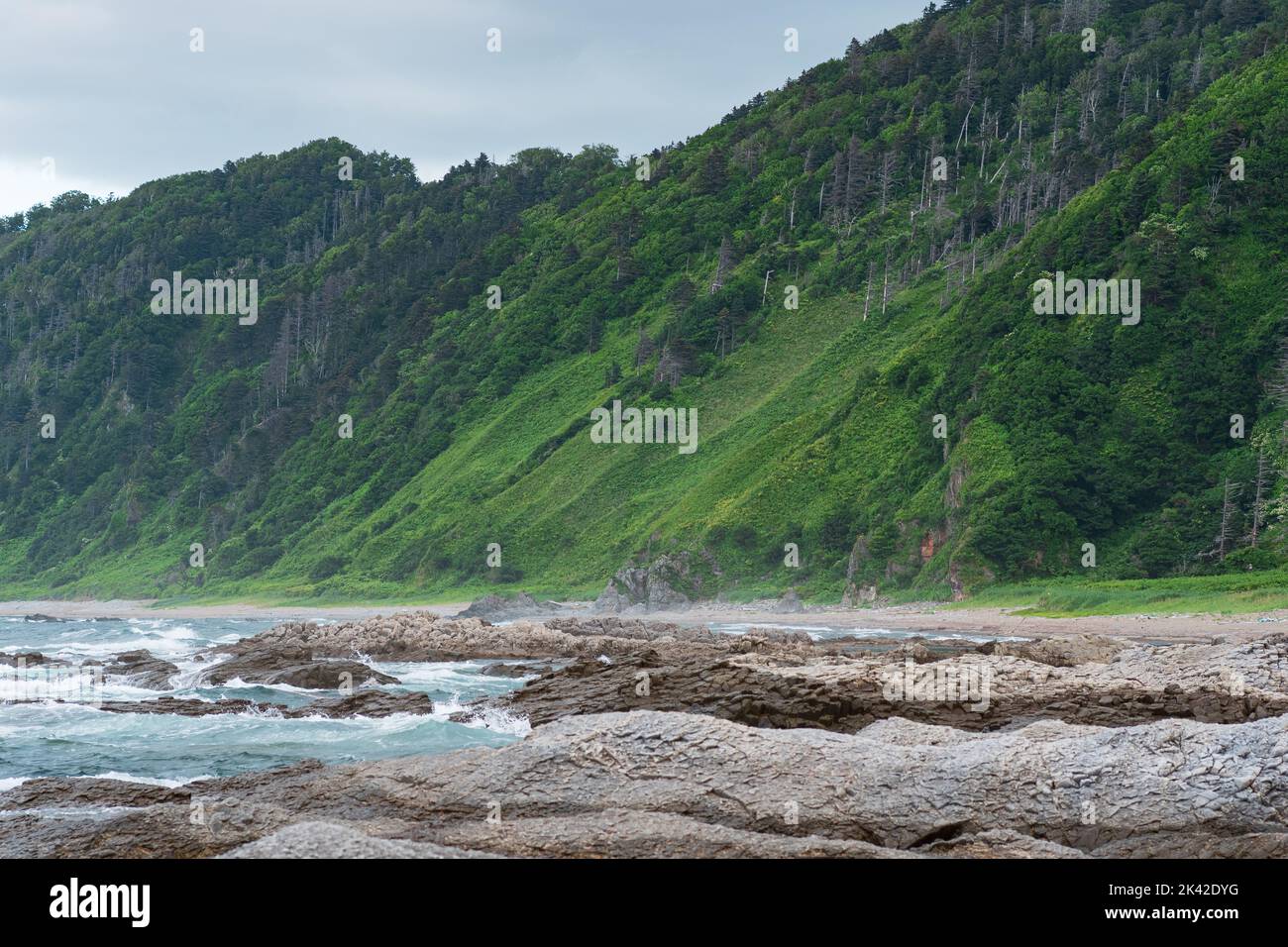 coastal landscape, beautiful wooded rocks on the green coast of Kunashir island Stock Photo