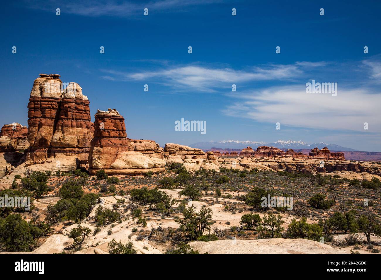 Cedar Mesa sandstone formations in the Doll House area of the Maze District of Canyonlands National Park, Utah.  The La Sal Mountains are behind. Stock Photo