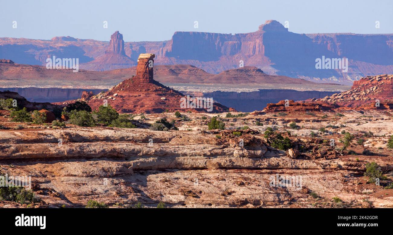 Rock formations in the Land of Standing Rocks, Maze District, Canyonlands NP, Utah with the Candlestick Tower & Island in the Sky District behind. Stock Photo