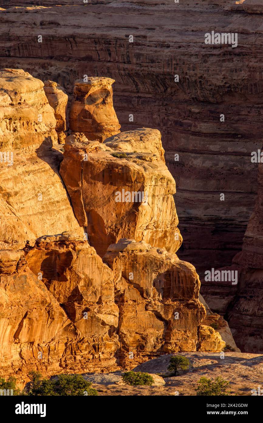 Sunrise light on Cedar Mesa sandstone canyon formations in the Maze ...