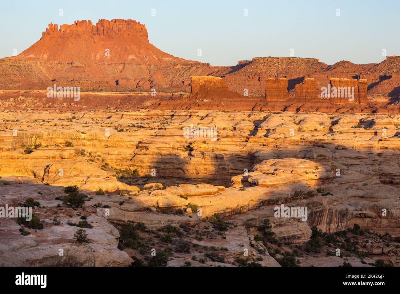 The Chocolate Drops & Elaterite Butte in the Land of Standing Rocks in the Maze District of Canyonlands National Park, Utah.  In the foreground is a m Stock Photo