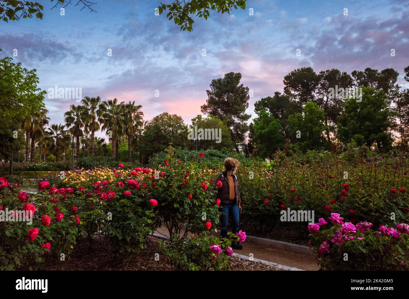 Granada, Andalusia, Spain : A woman walks along the Rose garden at the  Federico García Lorca Park which was inaugurated in 1995. Stock Photo