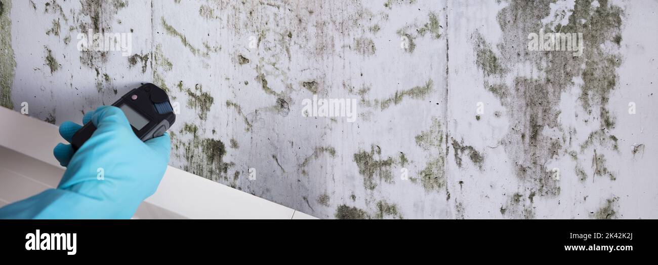 Mold Damage Test. Wet Concrete With Moisture Stock Photo Alamy