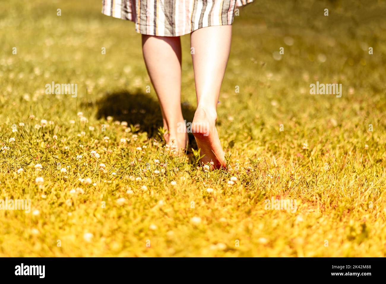 Bare girls feet walking, going away on grass on summer holiday closeup. High quality photo Stock Photo