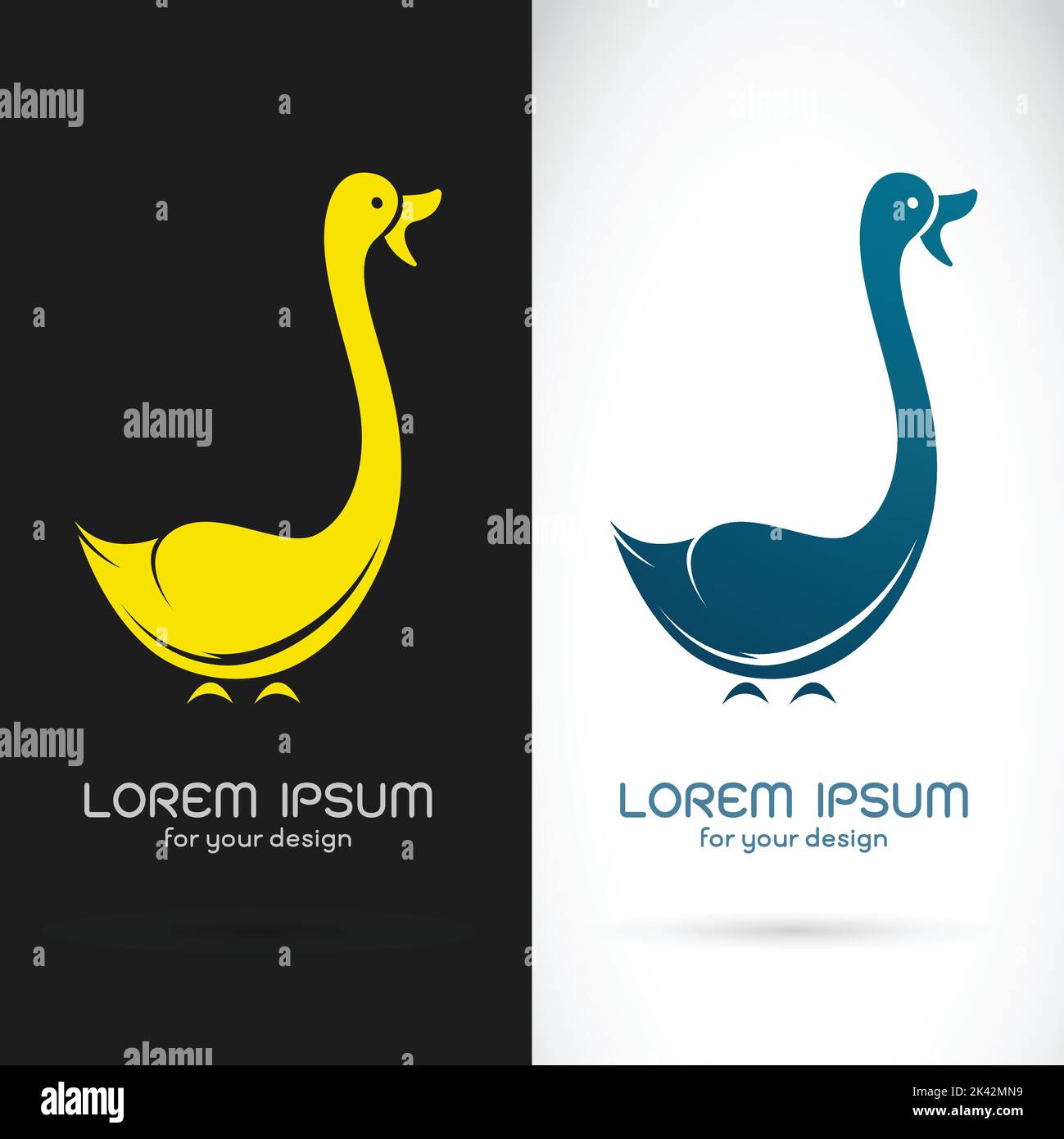 Vector image of swan design on black background and white background, Logo, Symbol Stock Vector