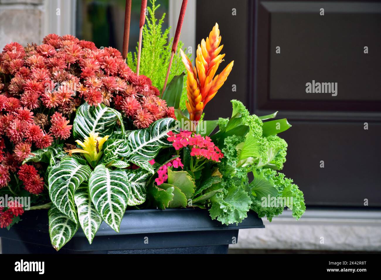 Thanksgiving colours and textures create a beautiful example of seasonal container gardening. Stock Photo