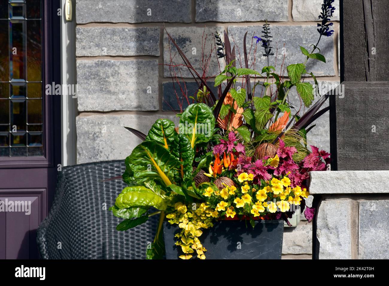 Container gardening with bright colours and ornamental kale create a beautiful thanksgiving flower arrangement. Stock Photo