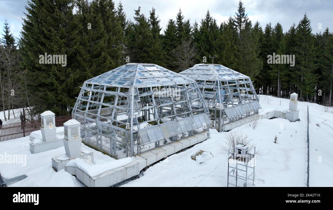 Greenhouse station snow winter frost open top chambers climate change science research Bily Kriz, plant spruce Picea abies Norway European mountain Stock Photo