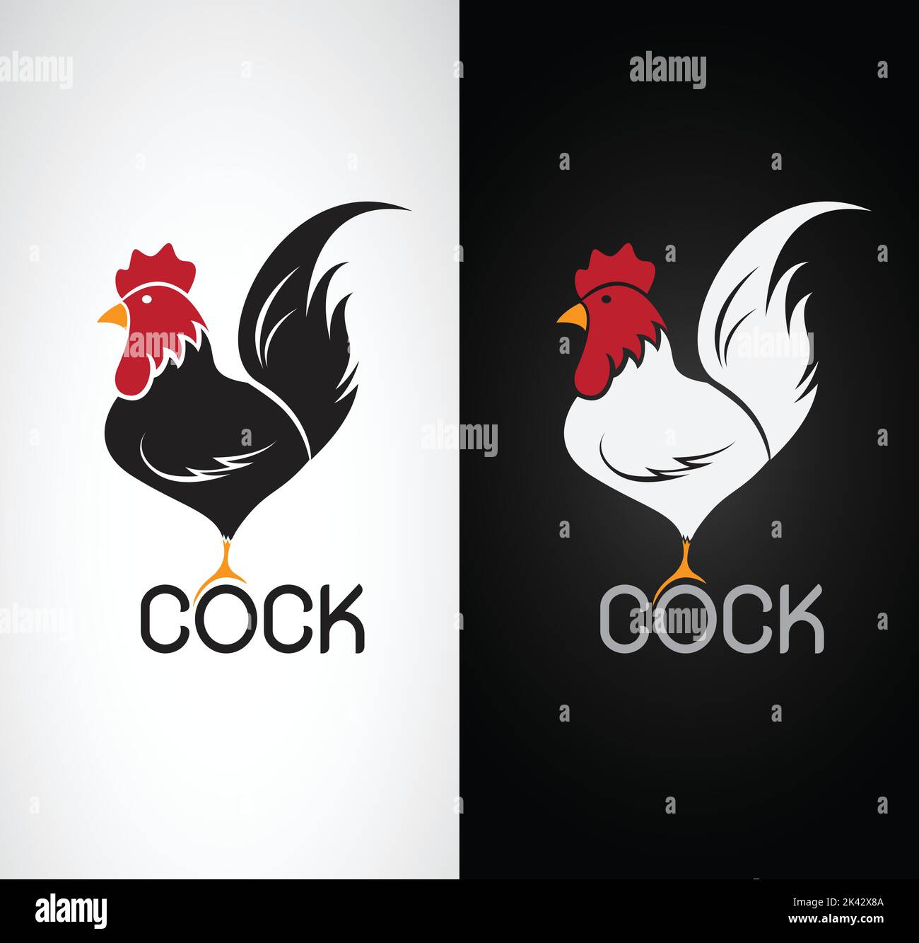 Vector image of an cock design on white background and black background, Logo, Symbol Stock Vector