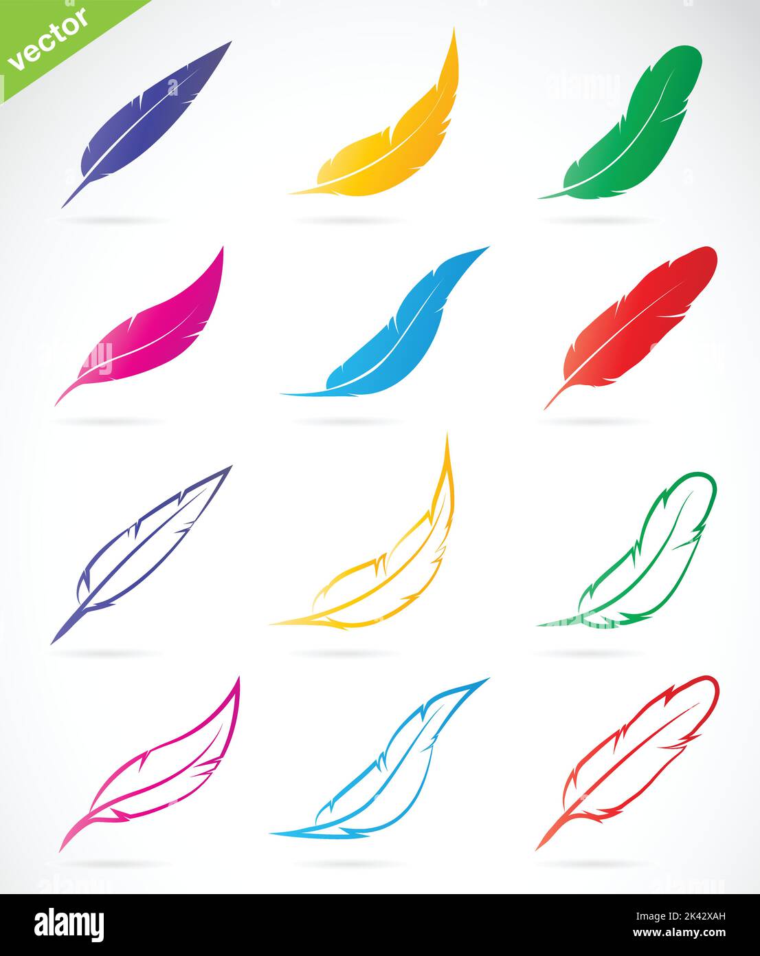 Vector group of colorful feather on white background. Easy editable layered vector illustration. Wild Animals. Stock Vector