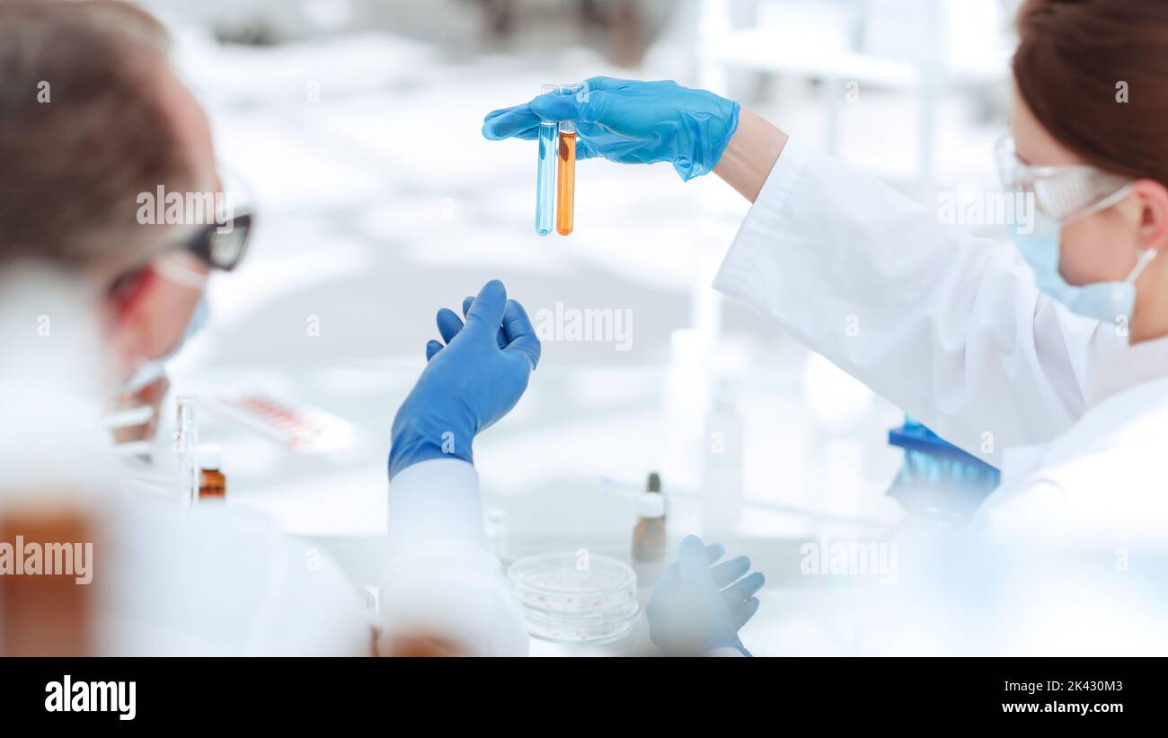 rear view . Microbiology scientists discussing the liquid in test tubes. Stock Photo