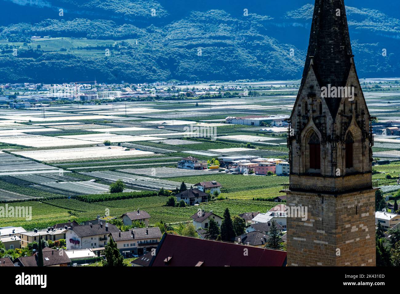Apple Growing Area And Wine Growing In The Etsch Valley South Tyrol apple-growing-area-and-wine-growing-in-the-etsch-valley-south-tyrol