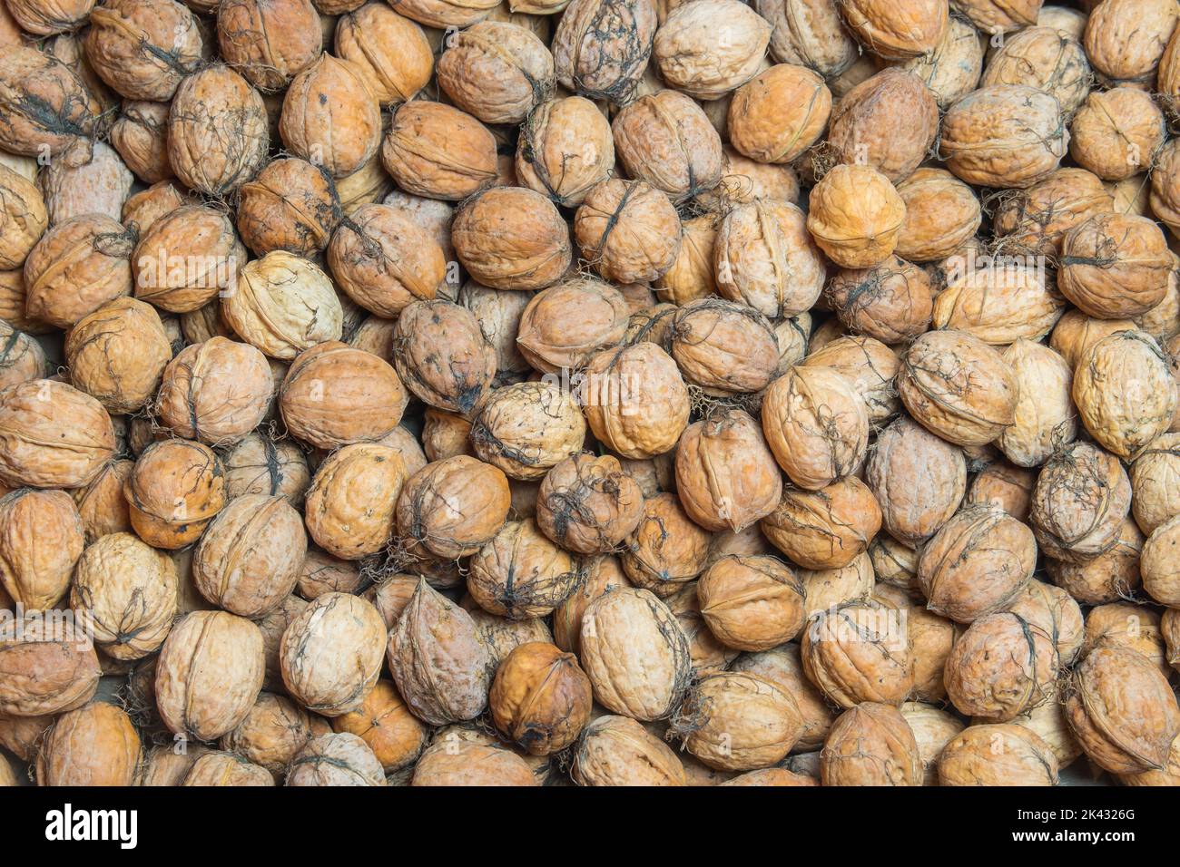 Crushed walnut shell hi-res stock photography and images - Alamy