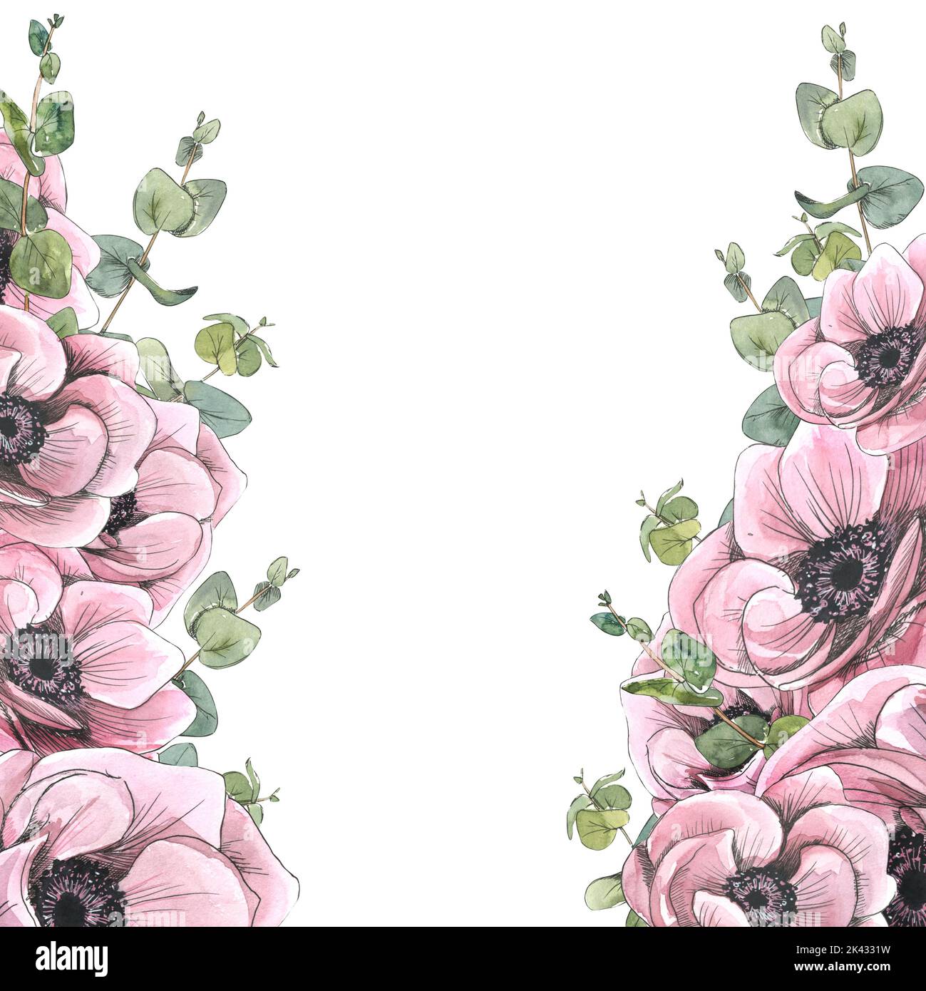 Beautiful pink anemone flowers. Watercolor illustration in sketch style with graphic elements. Frame from a large set of PARIS. For registration and Stock Photo